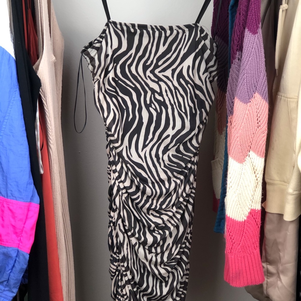 Revamped Zebra Print dress!
